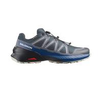 Salomon Herren Speedcross Peak Gore-tex Hiking Shoe, Gore Tex Blue Nights Grisaille Nautical Blue, 43 1/3 EU