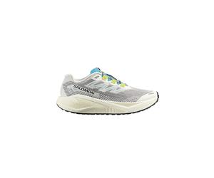 SALOMON Herren Traillaufschuhe Aero Blaze 3 GRVL beige | 42