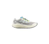 SALOMON Herren Traillaufschuhe Aero Blaze 3 GRVL beige | 45 1/3