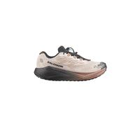 Salomon SHOES AERO BLAZE 4 GRVL GTX Vanilla/Blac |Vanilla/Black| EU 47 1/3