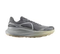 Salomon Herren Trailrunningschuhe Glide Max TR quiet shade/pearl blue/bleached sand 9.5 (EU 44)