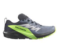 SALOMON Herren Trailrunningschuhe SHOES SENSE RIDE 5 GTX Flint/Black/Grgec Flint Stone/Black/Green Gecko - Gr. - 42
