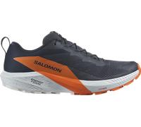 Salomon Adult Sense Ride 5 GTX grau Gr. 44