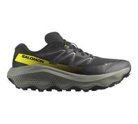 SALOMON Herren Trailrunningschuhe SHOES ULTRA FLOW 2 GTX Black/Sedsa/Incab (L47883200) 45 ⅓ Black/Sedona Sage/Incaberry