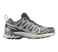 SALOMON Herren Trailrunningschuhe SHOES XA PRO 3D V9 GTX Flint/Black/Ghost (L47270600) 43 ⅓ Flint Stone/Black/Ghost Gray