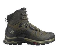 SALOMON Herren Trekkingstiefel QUEST 4 GORE-TEX (L41292500) 43 ⅓ Olive Night/Peat/Safari