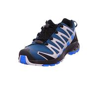 Salomon XA Pro 3D v8 GTX Herrenschuhe Legion/Blithe/Prl - 416292 - 40