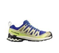 Salomon Herren Xa Pro 3D V9 blau EU 43.3