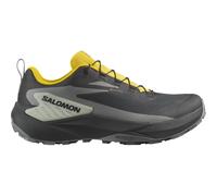 Salomon Men's Genesis GORE-TEX Black / Sedona Sage / Incaberry 46 2/3