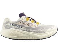 Salomon Herren Aero Blaze 3 GRVL GTX Schuhe (Größe 43 , weiss)