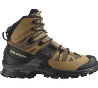 Salomon Men's Quest 4 GORE-TEX Kelp/black/castlerock 46 2/3