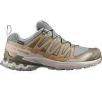 Salomon Men's XA 3D Pro V9 GORE-TEX Sedona Sage/Plantation/Paloma Sedona Sage / Plantation / Paloma 42