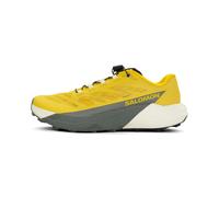 Salomon Pulsar Herren 42 2/3 Mehrfarbig
