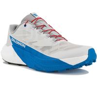 Salomon PULSAR Trailschuhe Herren Lunar Rock/White/French Blue 42 2/3