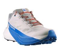 Salomon PULSAR Trailschuhe Herren Lunar Rock/White/French Blue 43 1/3