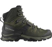 SALOMON QUEST 4 GTX Schuh 2026 olive night/peat/safari - 42 2/3