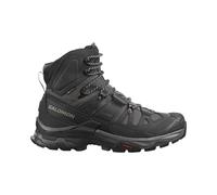 Salomon Quest 4 GTX, Wanderstiefel Herren magnet/black/quarry 8.5 (EU 42 2/3)