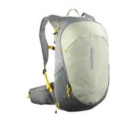 Salomon Rucksack Salomon Trailblazer 20 Sedona Sage/Seagrass/Cres