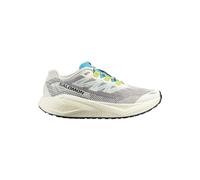 Salomon Salomon Aero Blaze 3 GRVL vanilla Ice / Ojos Del Salar weiß, 45 1/3