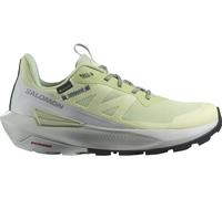 SALOMON Damen Multifunktionsschuhe SHOES ELIXIR ACTIV GTX W Celgre/Glacgr/P (L47456300) 40 ⅔ Celadon Green/Glacier Gray/Phantom