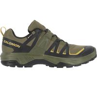 SALOMON Herren Multifunktionsschuhe SHOES EXTEND 2 GTX Olvnig/Black/Willow (L49258700) 46 Olive Night/Black/Willow