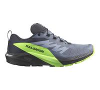 Salomon - Sense Ride 5 GTX - Trailrunningschuhe, Gr. 40 UK 6.5, grau (FlintStone/Black/GreenGecko)