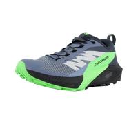 SALOMON Herren Trailrunningschuhe SHOES SENSE RIDE 5 GTX Flint/Black/Grgec Flint Stone/Black/Green Gecko - Gr. - 42 ⅔