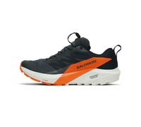 Salomon Sense Ride 5 GTX Herren 46 2/3 Mehrfarbig