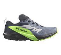 Salomon - Sense Ride 5 GTX - Trailrunningschuhe, Gr. 44, grau (FlintStone/Black/GreenGecko)