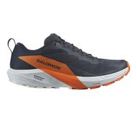 Salomon Sense Ride 5 GTX Herren Trailrunningschuhe, grau, Größe 48 48