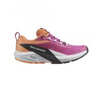 Salomon Sense Ride 5 GTX Damen 40 2/3 Mehrfarbig