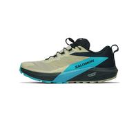 Salomon Sense Ride 5 Herren 42 2/3 Mehrfarbig