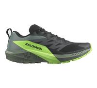 Salomon - Sense Ride 5 - Trailrunningschuhe, Gr. 43 EU 43 1/3, bunt (Black/LaurelWreath/GreenGecko)