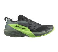 Salomon Sense Ride 5 Trailrunningschuhe schwarz/grün - 40(2/3)