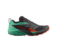 Salomon Sense Ride 5 Laufschuhe Herren 44