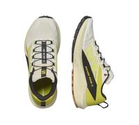 SALOMON Damen Trailrunningschuhe SHOES SENSE RIDE 5 W Vanila/Sulphr/Black Vanilla Ice/Sulphur Spring/Black 39 ⅓ (0195751553032)