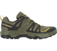 SALOMON Herren Multifunktionsschuhe SHOES EXTEND 2 GTX Olvnig/Black/Willow (L49258700) 46 ⅔ Olive Night/Black/Willow