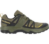 SHOES EXTEND 2 GTX Olvnig/Blac OLIVE NIGHT/BLACK/WILLOW EU 42.5