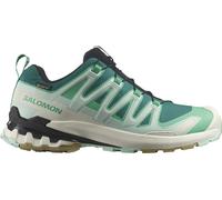 SALOMON XA PRO 3D V9 GORE-TEX