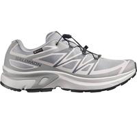 SALOMON Herren Freizeitschuhe SHOES XT-EVR GTX M Alloy/LunRoc/Black (L49143800) 45 ⅓ Alloy/Lunar Rock/Black
