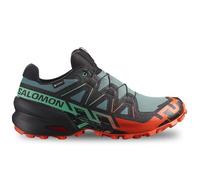 Salomon Speedcross 6 GTX 477013, Men Running Shoes, Grey, 45 1/3 EU