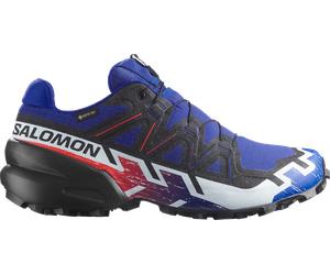 Salomon SPEEDCROSS 6 GTX EQUIPE Trail-Schuhe 46,7 blau