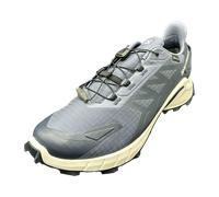 Salomon Supercross 4 GTX UK 9,5 grisaille/white/carbon