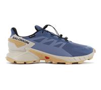 Salomon Supercross 4 GTX UK 12,5 bering/feather gr