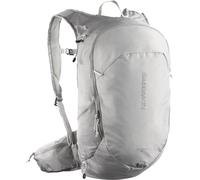 Salomon Trailblazer Rucksack 20L silbergrau