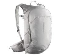 Salomon Trailblazer Rucksack 20L silbergrau