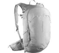Salomon Trailblazer Rucksack 20L silbergrau