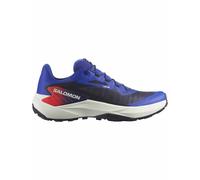 Salomon Genesis Equipe Schuhe (Größe 45 , blau)