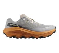 Salomon Ultra Flow 2 GTX - Gull/Turmeric/White Pepper - 44 (UK 9.5)
