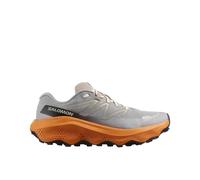 Salomon Ultra Flow 2 GTX - Gull/Turmeric/White Pepper - 44 (UK 9.5)